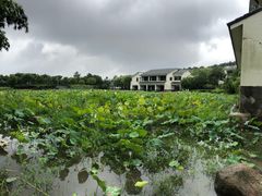 -苏州环秀晓筑养生度假村