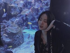 -成都浩海立方海洋公园