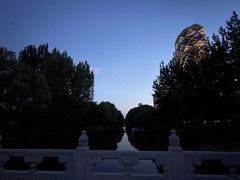 -大望京公园
