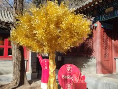 -潭柘寺景区