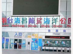 -烟台海昌鲸鲨海洋公园