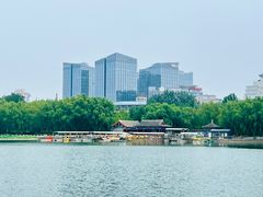 -莲花池公园