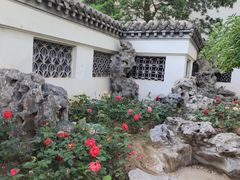-团结湖公园