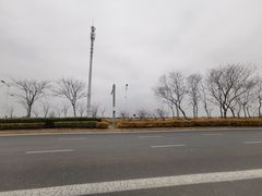 -南汇嘴观海公园