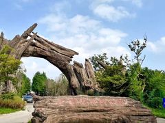 -广富林郊野公园