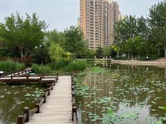 -南翠屏公园