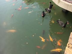 -芭东小镇温泉