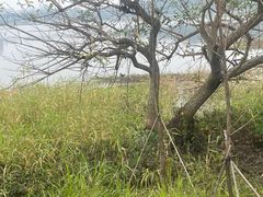 -风云岭森林公园