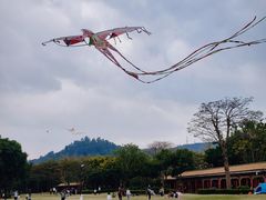 -顺峰山公园