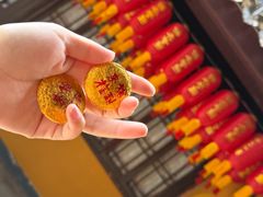 -龙华素斋(龙华路店)