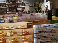 -猫的天空之城概念书店(丽江古城饮玉巷店)