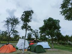 -上海长兴岛郊野公园