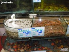 照片&nbsp;022-海岛渔村大酒店(云霄路店)