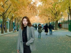 -三里屯东五街银杏大道
