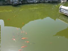 -口岸雕花楼