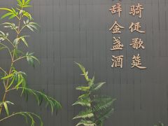 -皇厨荣升名厨家宴.赣州客家菜