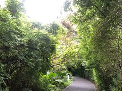 -华侨城湿地公园