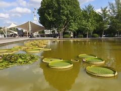 -石家庄市植物园
