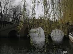 -桃花堤公园