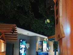 -菌彩云南野生菌火锅(万达广场店)