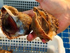 -碧海银沙海鲜餐厅(恒大海上威尼斯店)