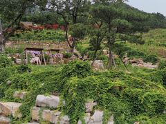 -里口山风景名胜区