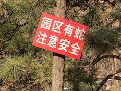 -白水寺森林公园