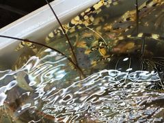 班赞生鲜市场-班赞海鲜市场