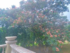 -北京张裕爱斐堡酒庄