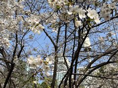 -西北湖绿化广场