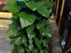-大桶大足浴(瞿溪路店)