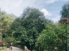 -雁荡山灵峰景区