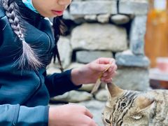 -喵屿·大理花园猫咖