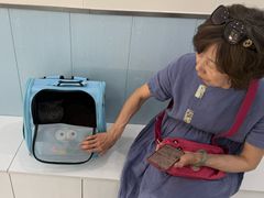-纳吉亚猫专科动物诊疗中心(蒋宅口分院)