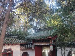 -南山公园