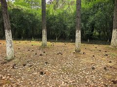 -艾溪湖湿地公园