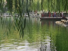 -莲湖公园