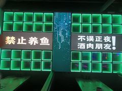 -Ton Ton吨吨小酒馆Live(观前街店)