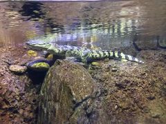 -成都浩海立方海洋公园