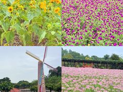 -广州莲花山旅游区