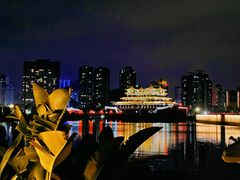 -野狸岛