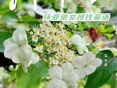 -环亚琅文现代英语·青少·雅思托福·成人英语