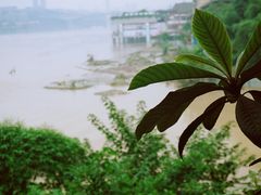 -懒鱼时光馆(沙坪坝店)