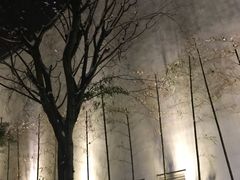 -青花餐厅(雅谷泉山庄酒店)