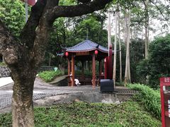 -黄埔油麻山森林公园