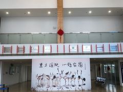 -盐城丹顶鹤湿地生态旅游区