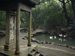 -兰亭风景区
