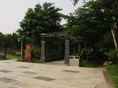 景点-王借岗森林公园