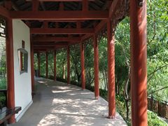 -重庆彩云湖湿地公园