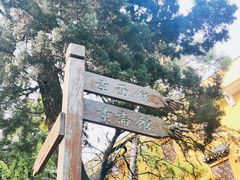 -灵岩山风景区